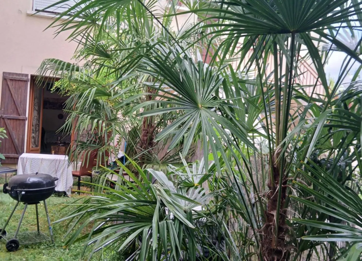 Проживание в семье Comme A La Maison Chez Dominnique Coquet T2 Avec Jardin Homme Chaleureux Тулуза